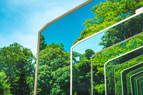 building windows reflecting trees and nature