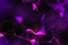 purple connections 