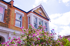 house with flowers