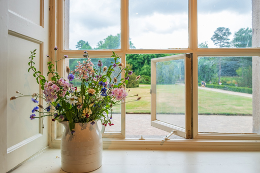 flowers on window